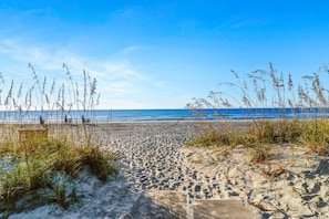 Une plage de sable bordée d’herbes hautes et surplombée d’un ciel bleu clair.