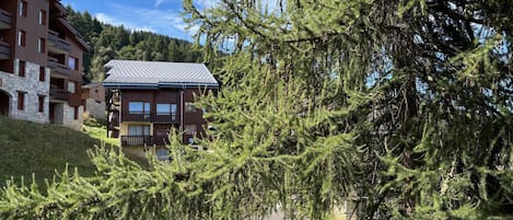 A multi-story building with balconies, surrounded by dense coniferous trees.