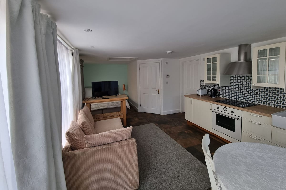 A compact living space with a kitchenette, a sofa, and a television.