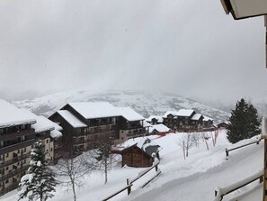Eksteriør