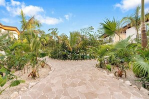 A paved pathway leading through a tropical garden with various plants and a building in the background.