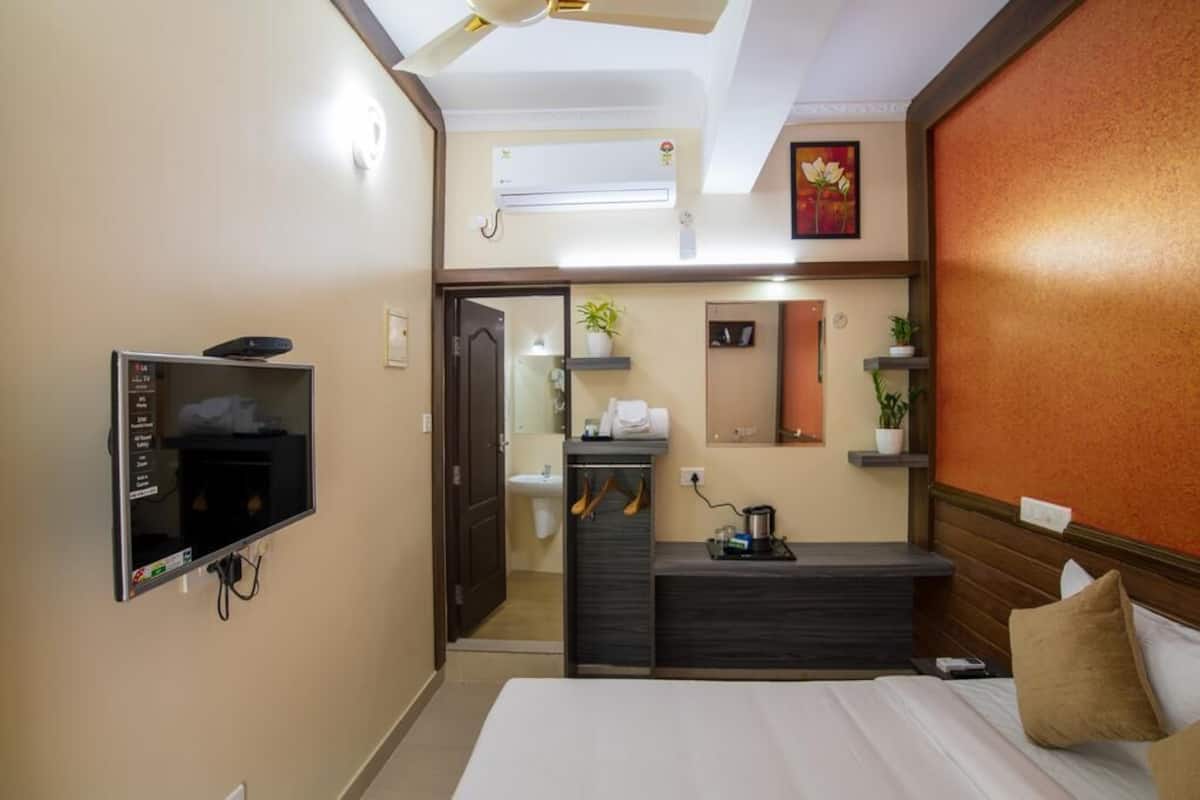 A hotel room with a bed, a TV, a desk with a chair, a mirror, and a small shelf with plants.