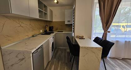 1 bedroom apartment perfect for guests with a modern and elegant design.