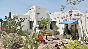 A building with a white exterior and a blue awning, surrounded by cacti and desert plants.