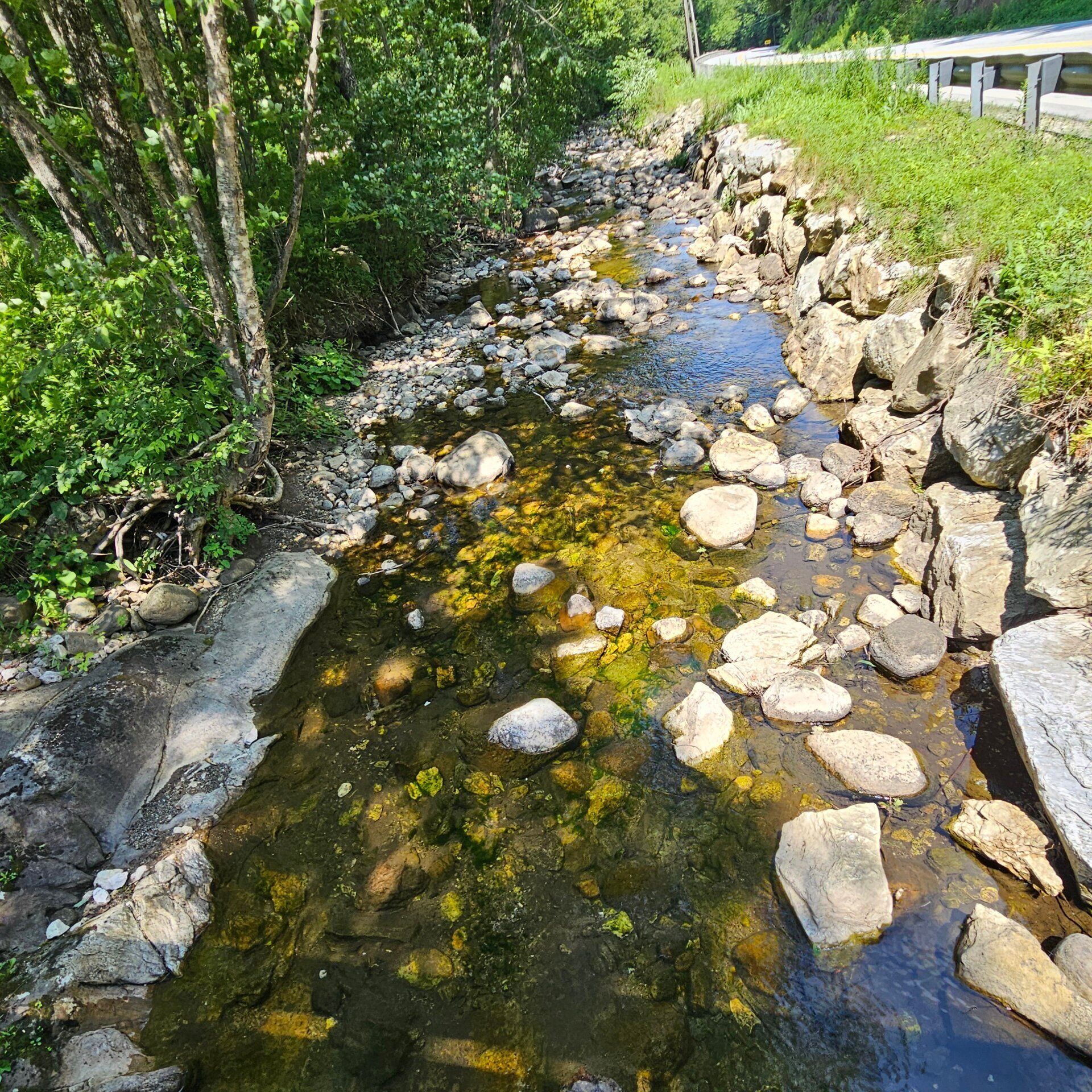 A natural stream with rocks and greenery.