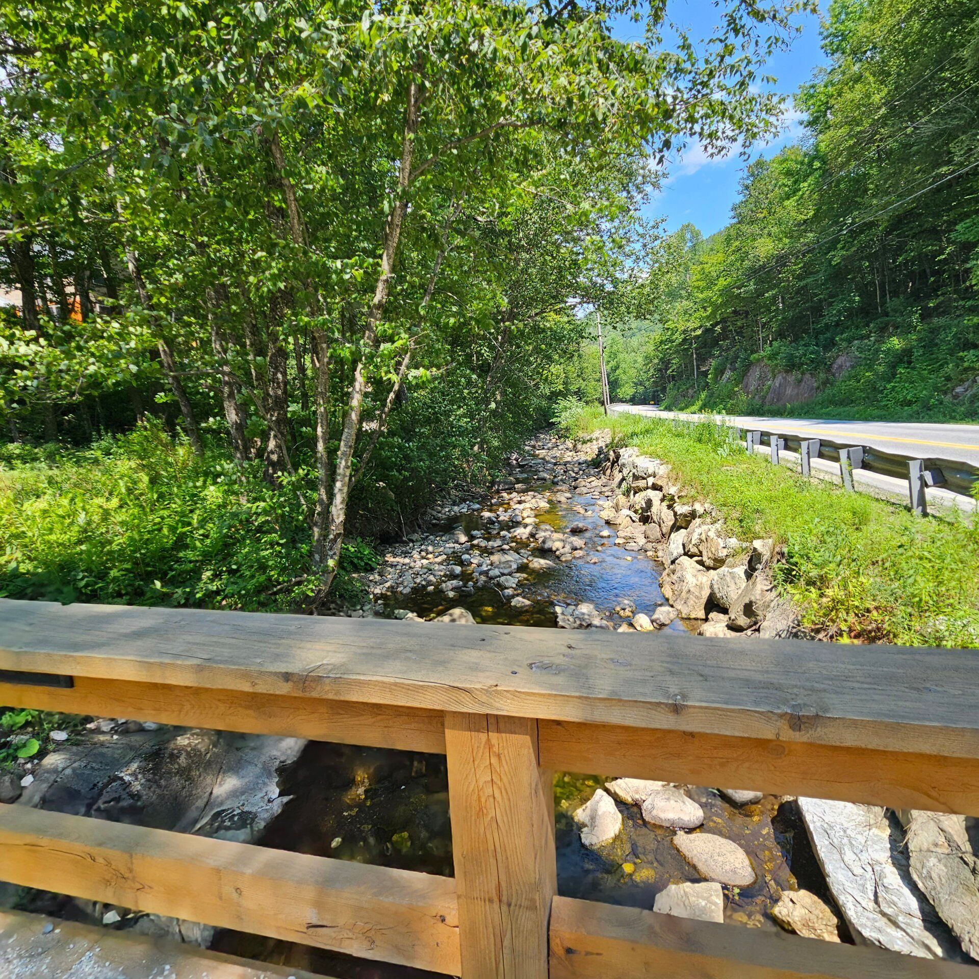 A wooden bridge over a rocky stream with lush greenery on both sides.