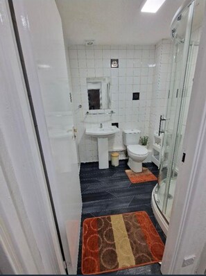 Appartement | Salle de bain | Douche, serviettes fournies, papier toilette