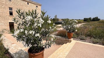 Teras/patio