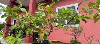 Mahasa Penarik Homestay