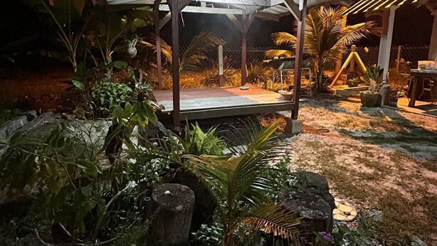 Un espacio al aire libre cubierto con un banco y plantas en macetas.
