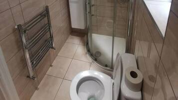 Shower, towels, toilet paper