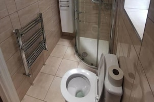 Shower, towels, toilet paper