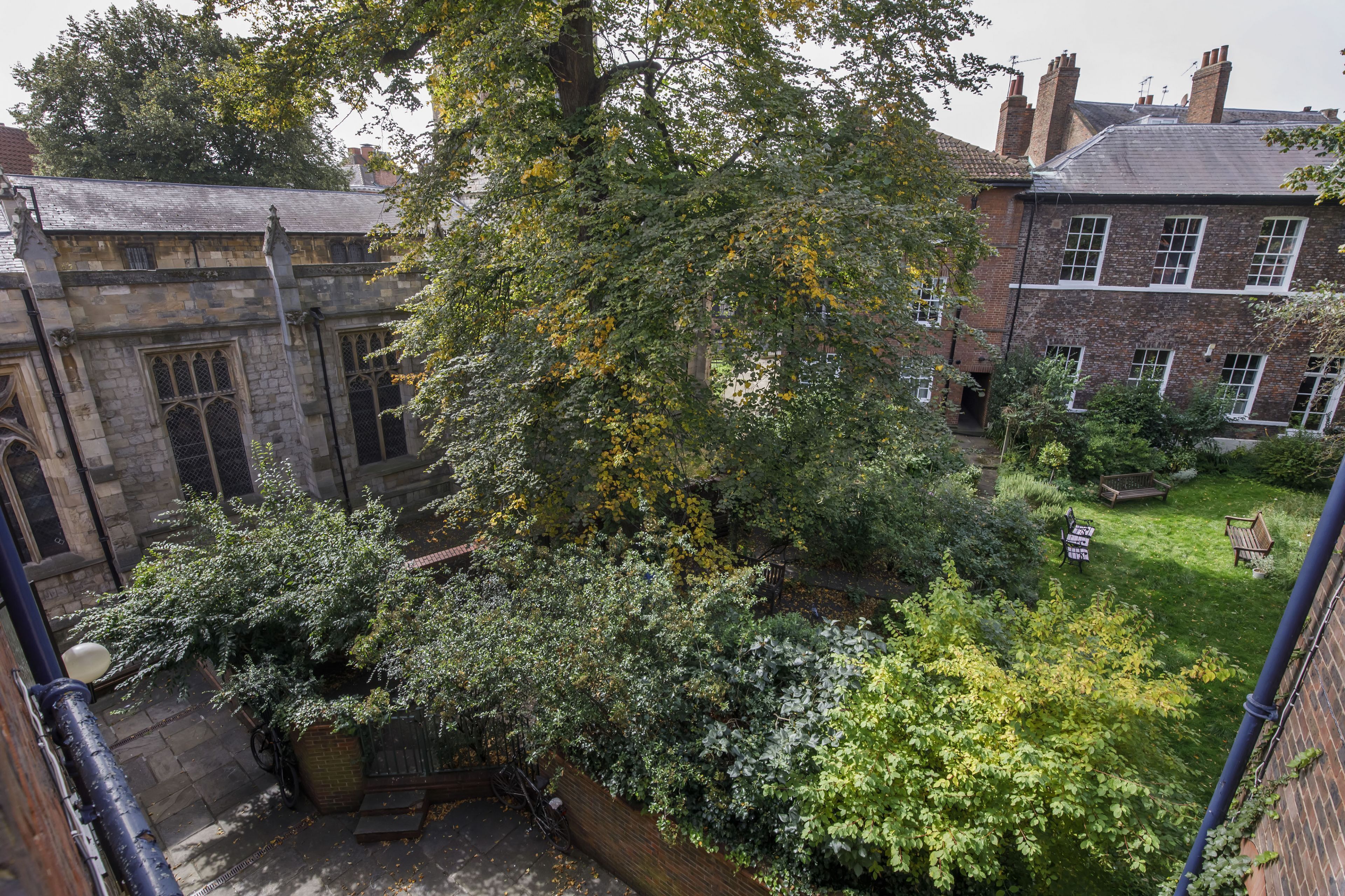 Ein Innenhof mit einem großen Baum, einem Backsteinhaus und einer Rasenfläche mit Bänken.