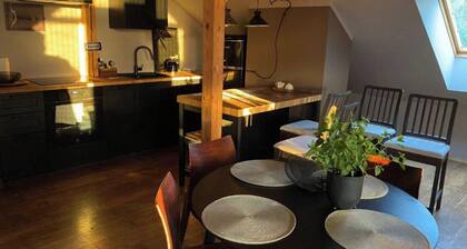 Charming studio in delightful Mārupe with AC, WiFi