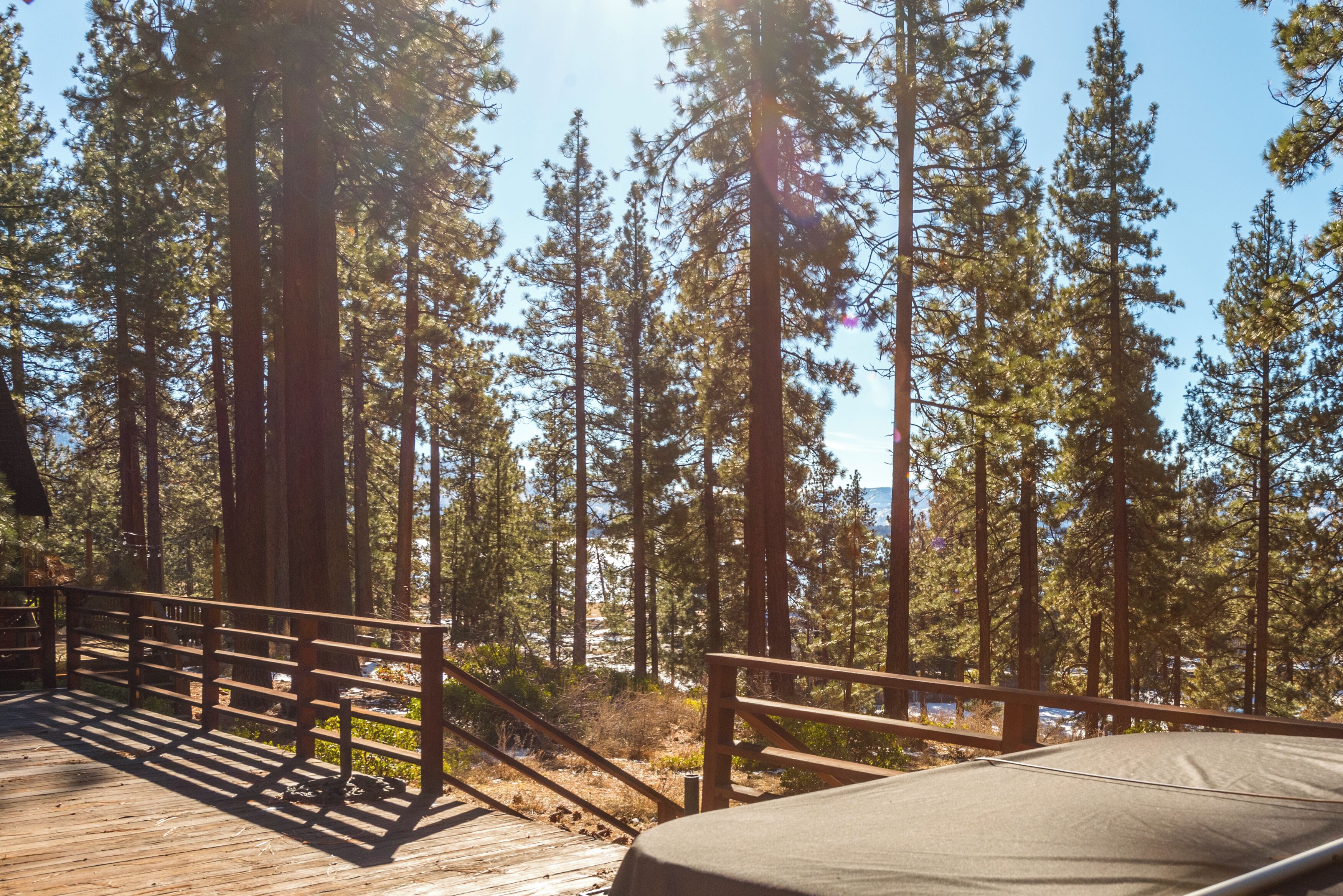 Una terraza de madera con barandilla de metal que da vista a un bosque de altos pinos.