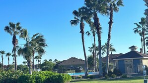 A residential area with a swimming pool, palm trees, and a house with a dark roof.