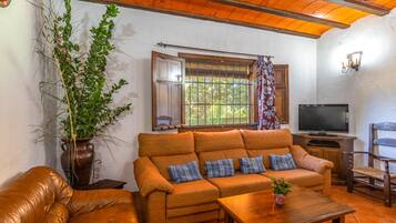 Een smart-tv en een open haard