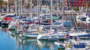 A marina with various boats docked, a wooden dock, and buildings in the background.