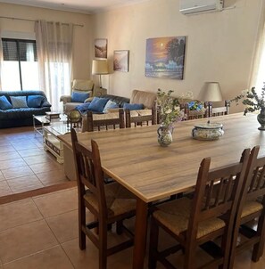 TV, fireplace, video games, table tennis