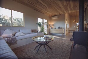 TV, fireplace, books, offices