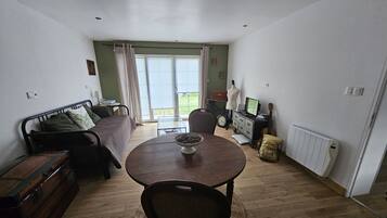 TV, video games, DVD player, books