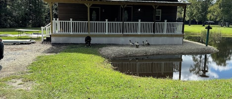 Jardines del alojamiento
