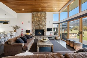 TV, fireplace, DVD player