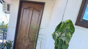 Una entrada de edificio con una puerta de madera, una maceta azul con diversas plantas y una cerca metálica al fondo.