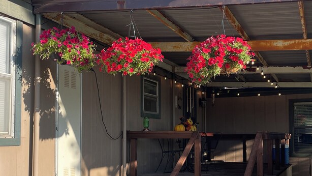 Un porche cubierto con cestas de flores colgantes y una escalera de madera que lleva a un nivel superior.