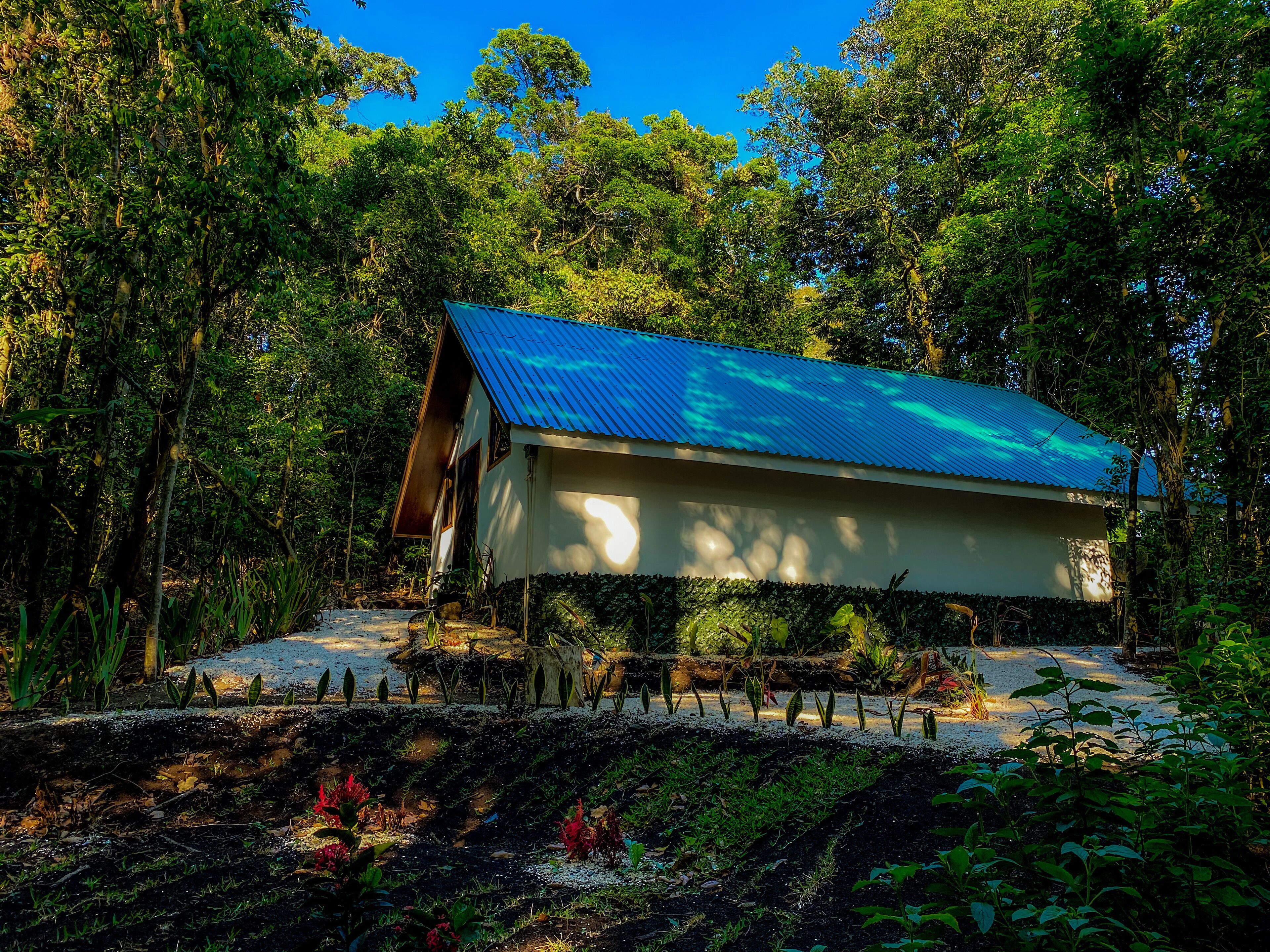 A small, single-story building with a blue roof, surrounded by dense forest.