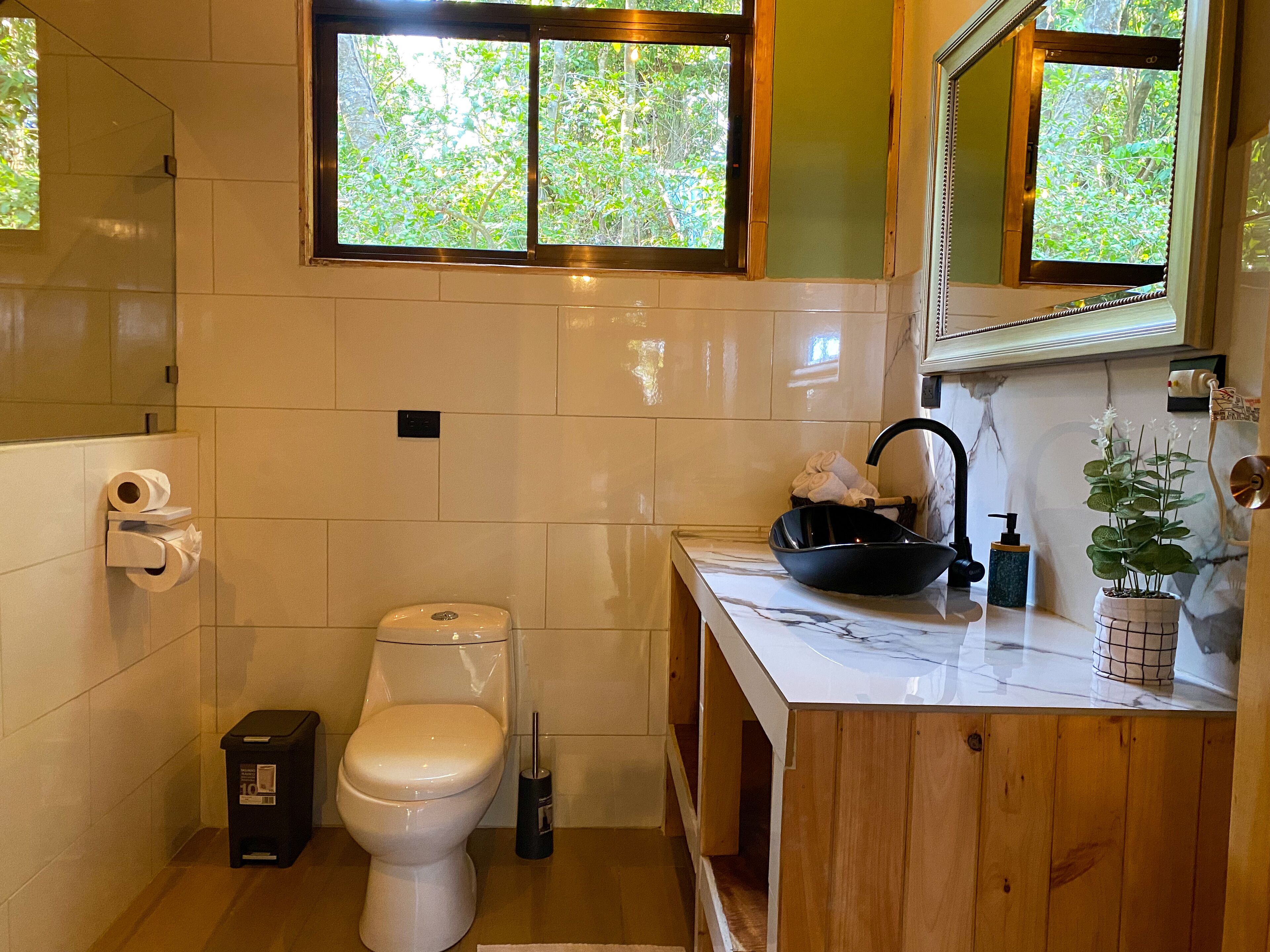 A bathroom with a toilet, a sink with a black basin, and a window with a view of greenery.