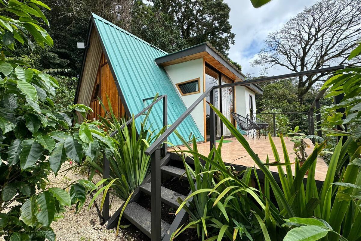 A small house with a sloped roof, surrounded by lush greenery.