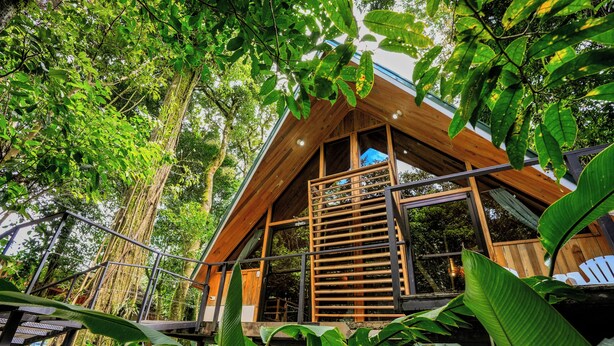 A wooden cabin with a balcony, surrounded by dense forest. - Tityra Lodge (Monteverde)
