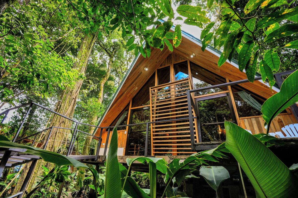 A wooden cabin with a balcony, surrounded by dense forest.