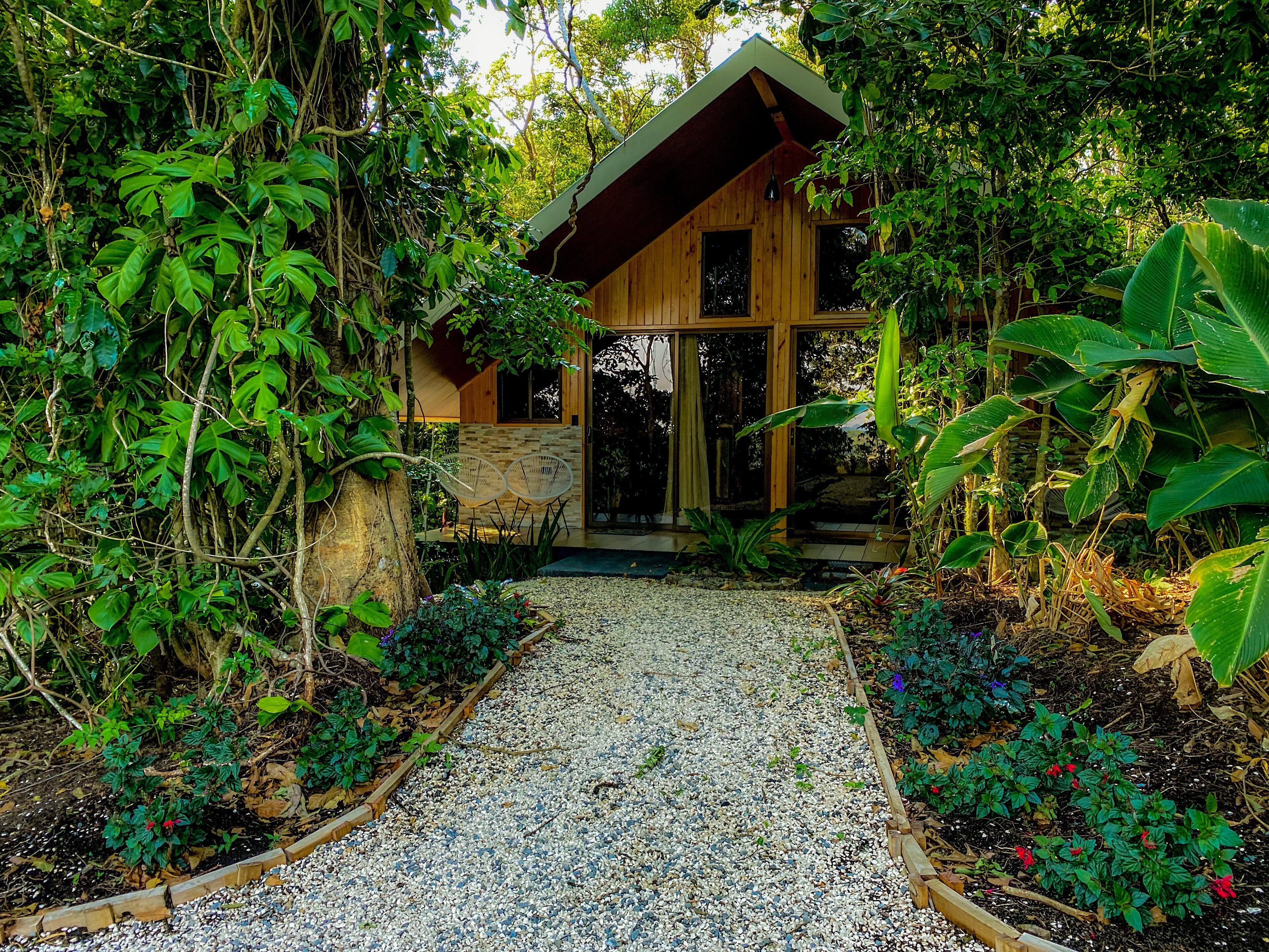 Suite | Terraza o patio