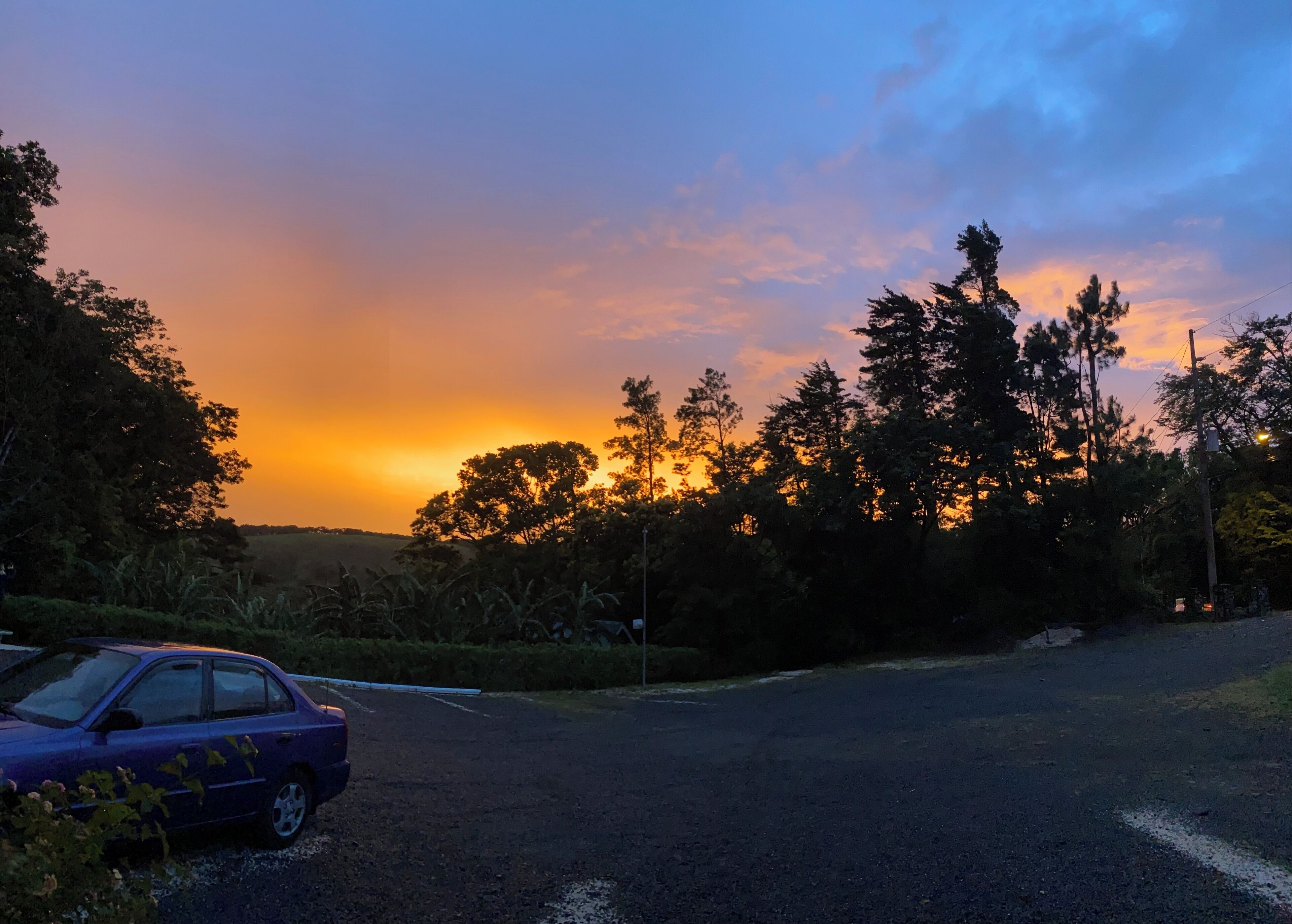 Un coucher de soleil sur une route, avec une voiture violette garée, entourée d’arbres et de végétation.