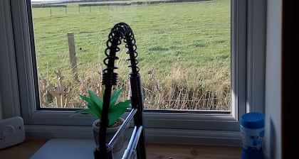 Comfortable three bedroom bungalow located in Orkney Islands complete with emus.