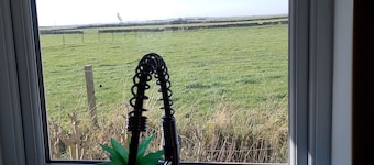 Comfortable three bedroom bungalow located in Orkney Islands complete with emus.