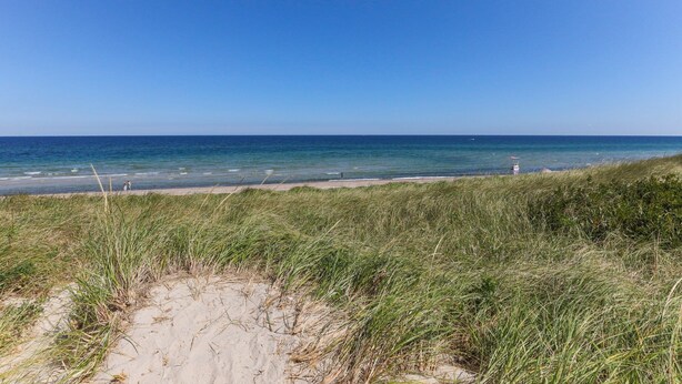 Een strand met duinen en een helderblauwe lucht.