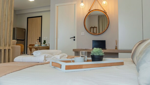 Una habitación de hotel con una cama, una mesita de noche con una planta, un espejo y un televisor.