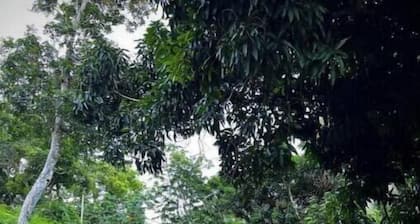 CampingTent2: Hacienda Monte Rey