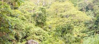 CampingTent2: Hacienda Monte Rey

