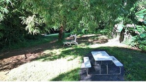 A picnic area with a table and benches under a large tree.