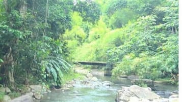 Imagen general