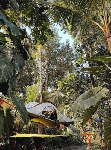 Tree Camping Tents: Hacienda Monte Rey

