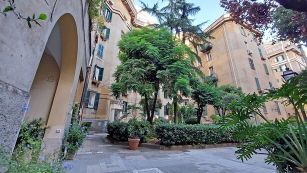 A courtyard with a large tree, potted plants, and a tiled walkway. - 4bnb - Armot House Vatican Apartment (Rome)