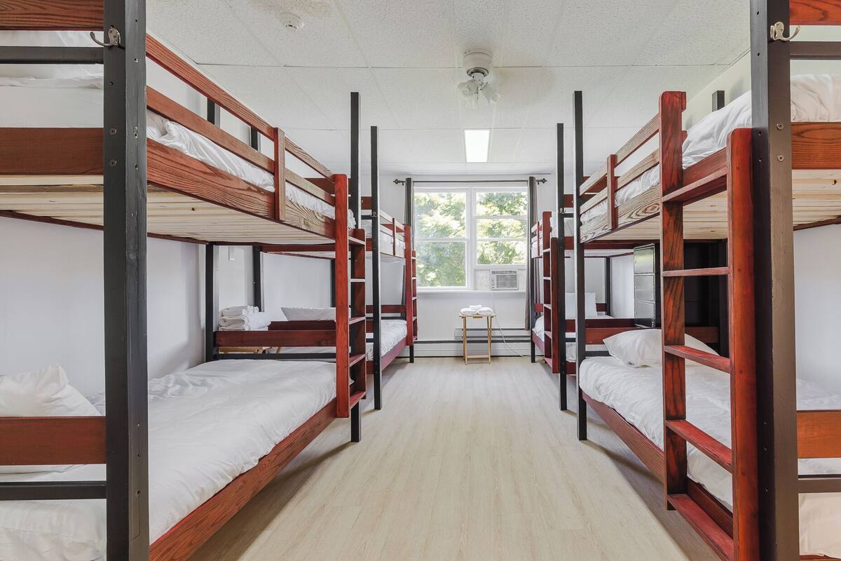 A dormitory with bunk beds arranged in two rows, a window with a view of trees, and a ceiling fan.