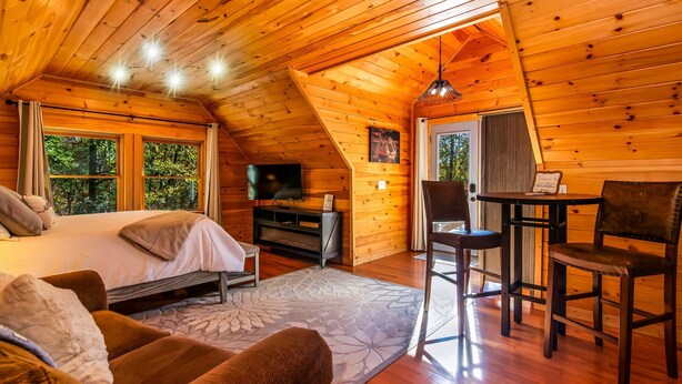 A cozy wooden cabin with a loft bedroom, a dining area, and a TV. - Couples Carriage House Retreat - Wineries & Hiking (Dahlonega)