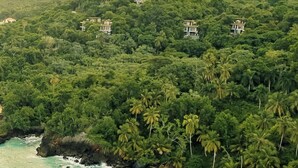 A coastal area with a beach and dense forest. - Ocama (Las Galeras)