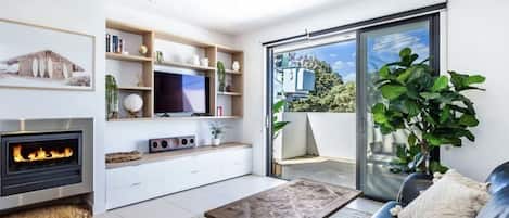 Smart TV, fireplace, books